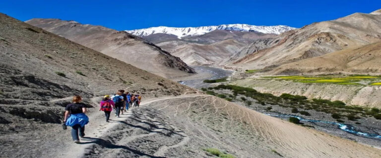 Leh-Ladakh-Trekking (1) (1)