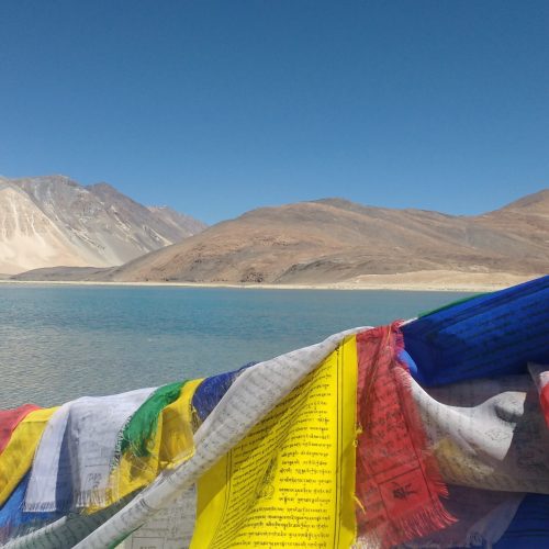 #ladakh#adventure #indicafila #pangong #flags #tibetan #traveler